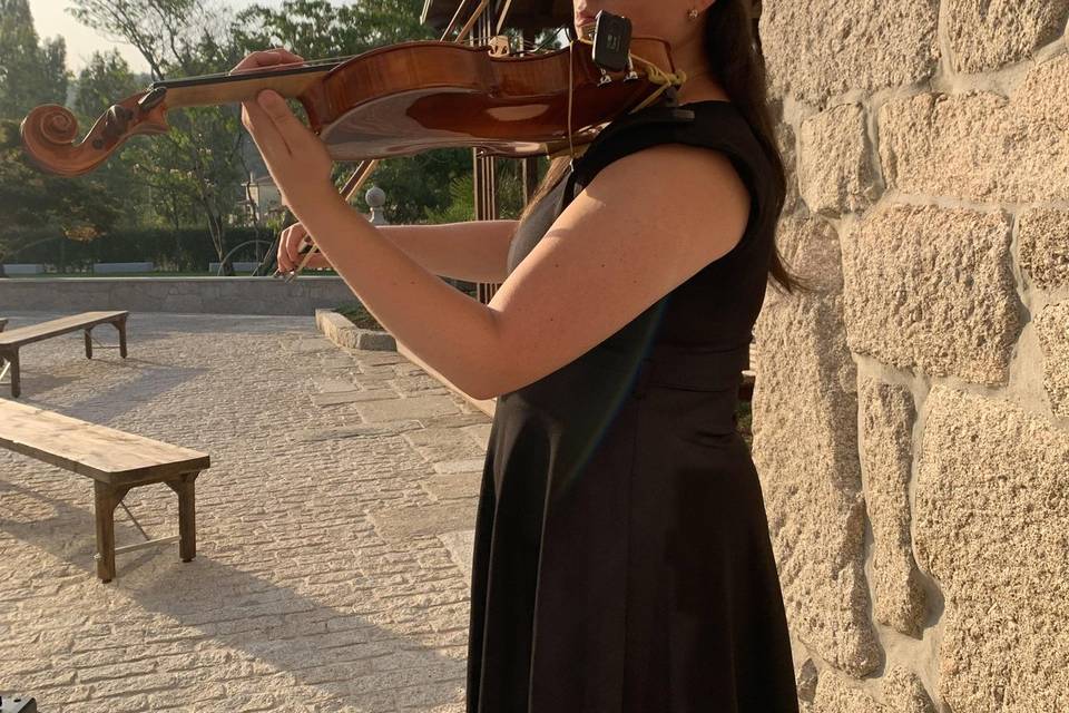 Gigi Violist