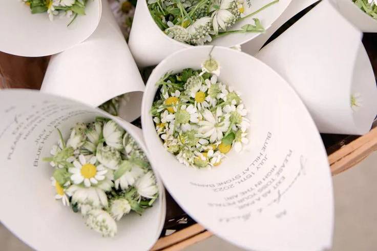 Cones   Arroz e Flores
