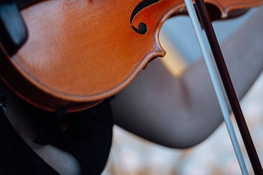 Violino
