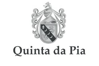 Quinta logo