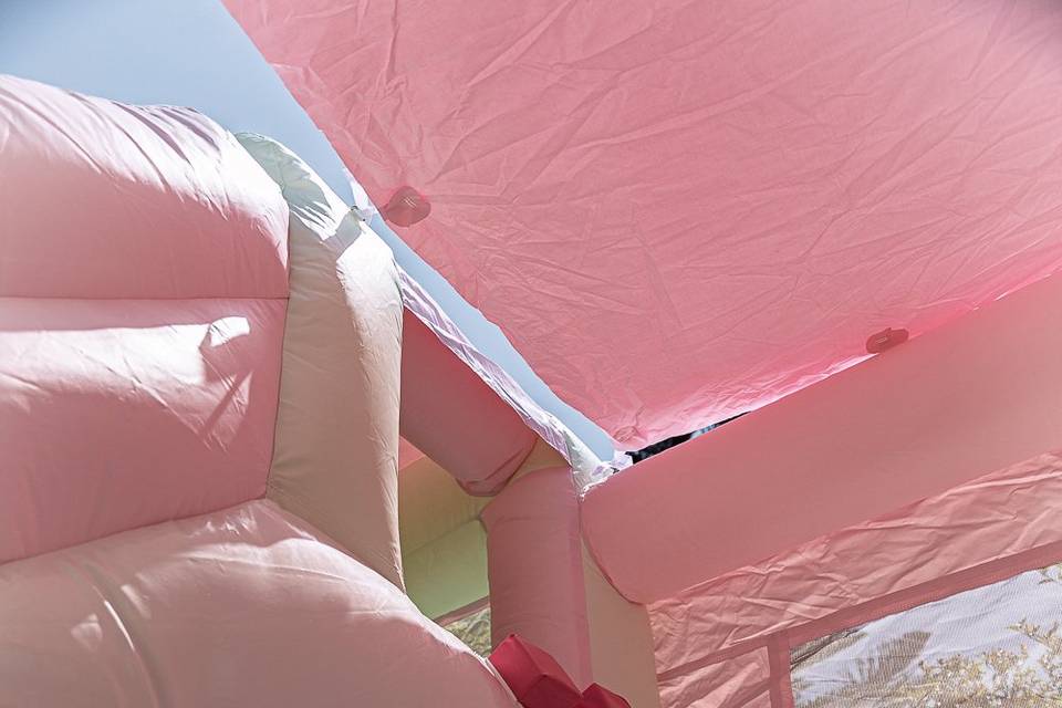 Pormenores Maria Vistosa