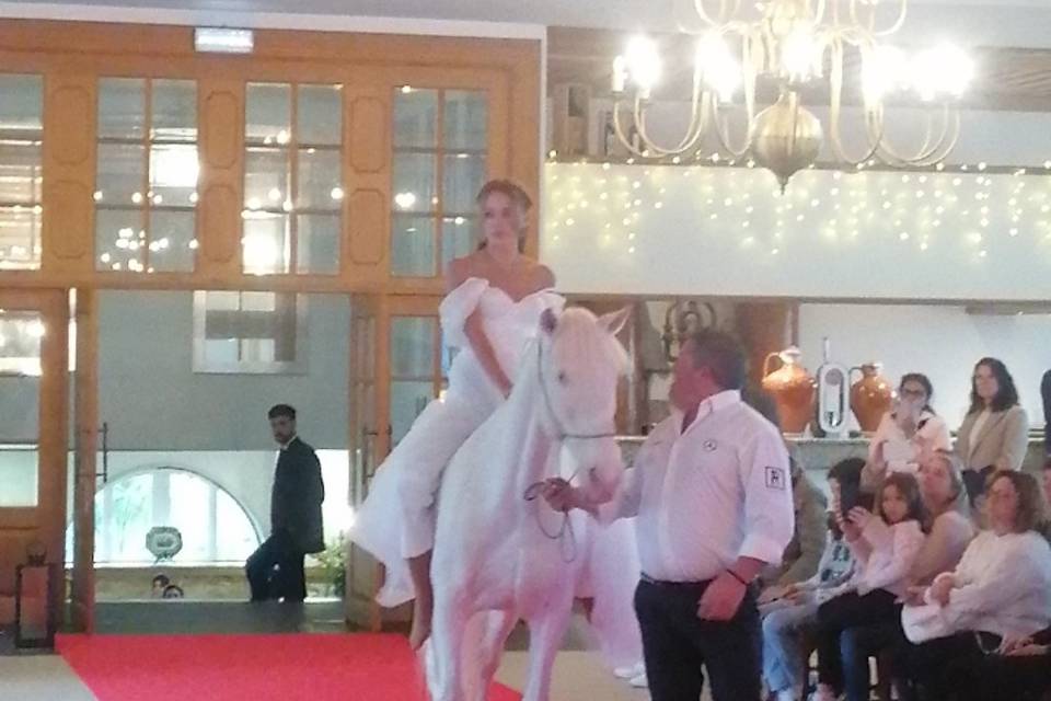 Desfile