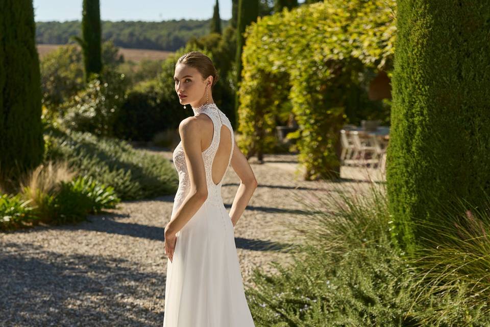 Alma Novia