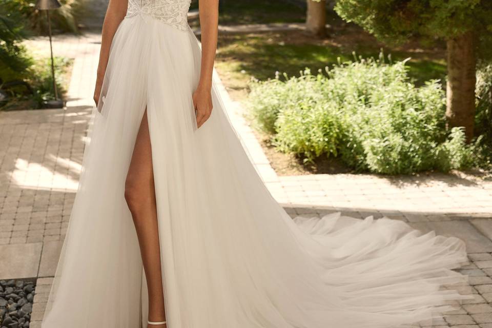 Alma Novia