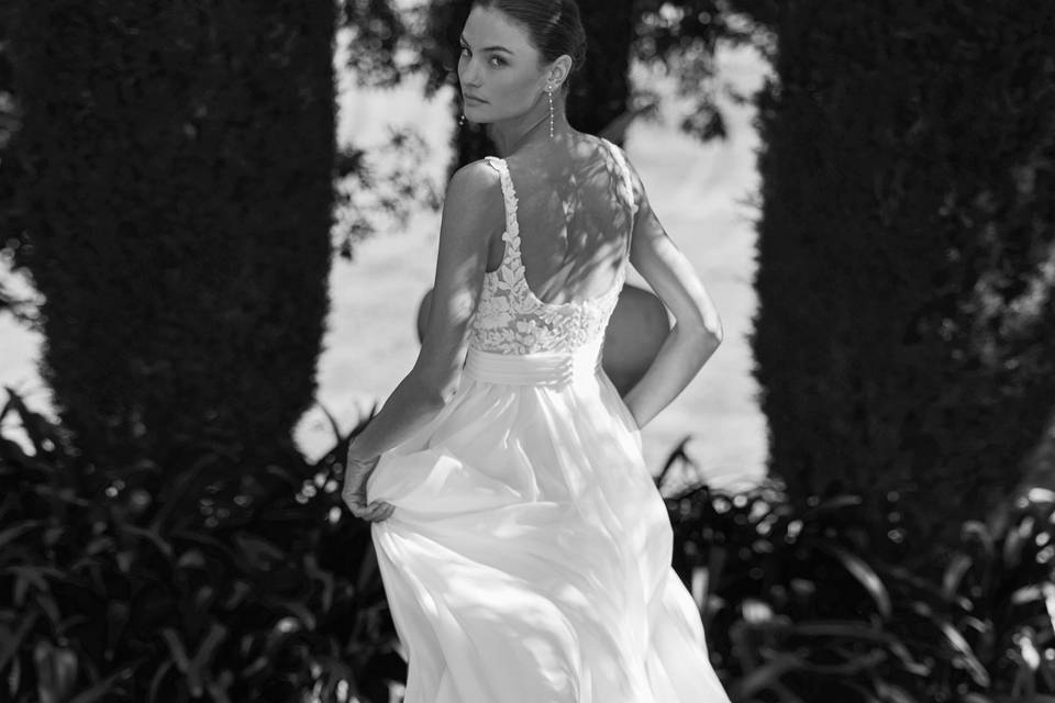 Alma Novia