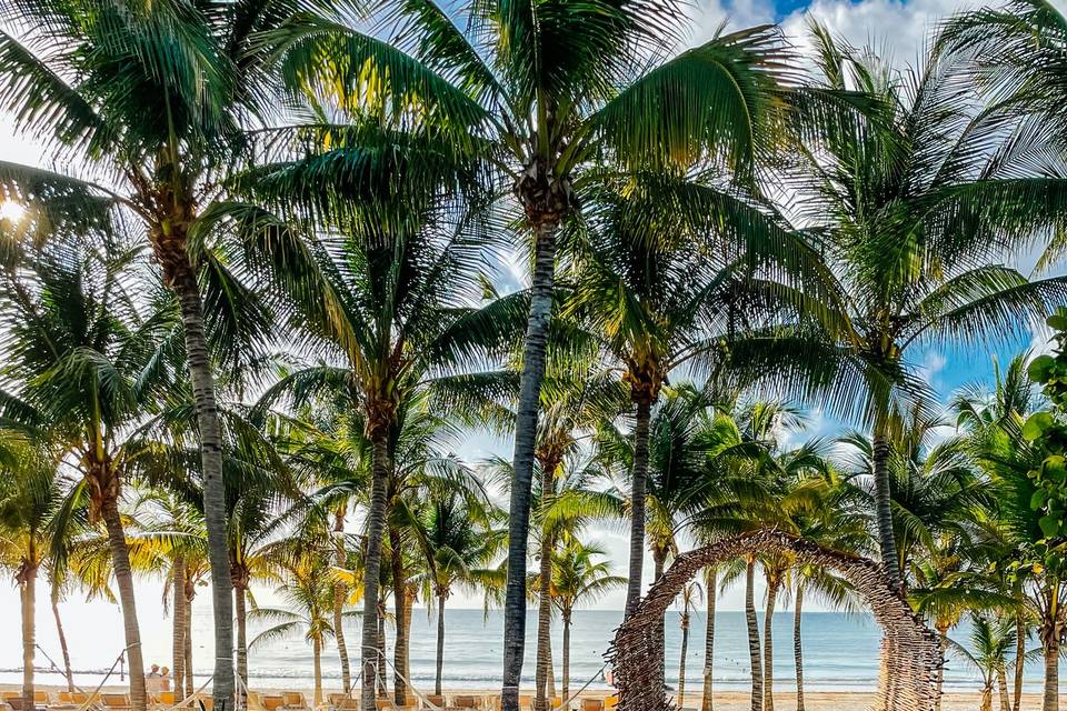 Playa Maroma - México