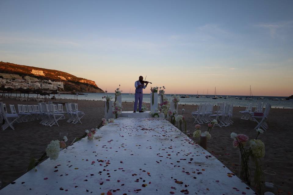 Casamento Violino solo