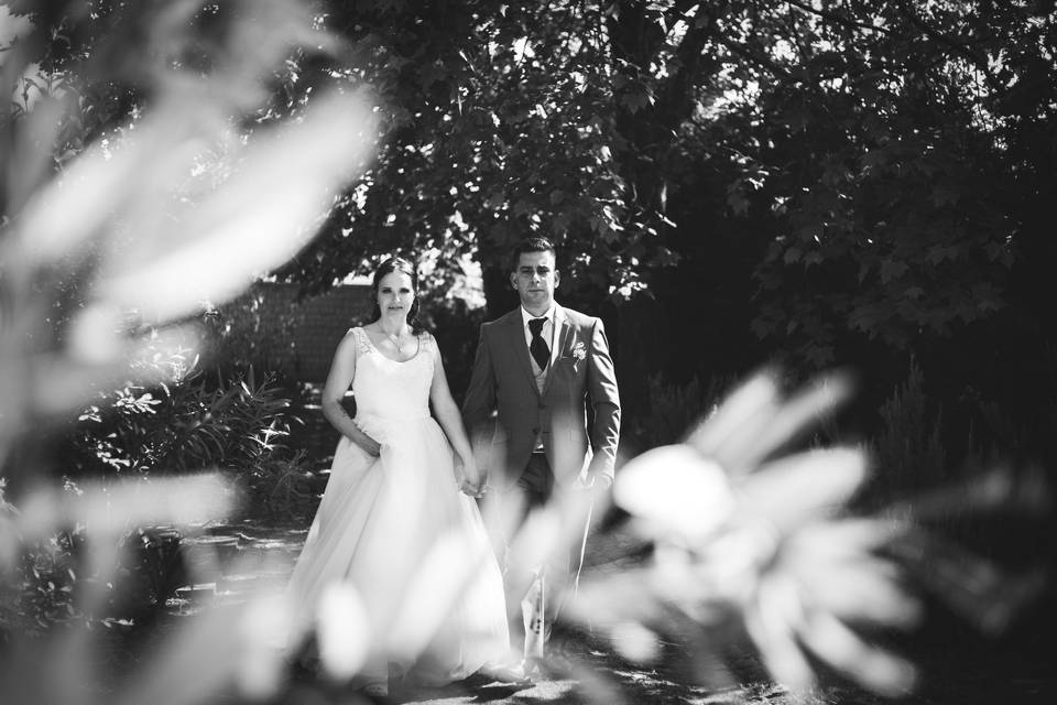 Casamento