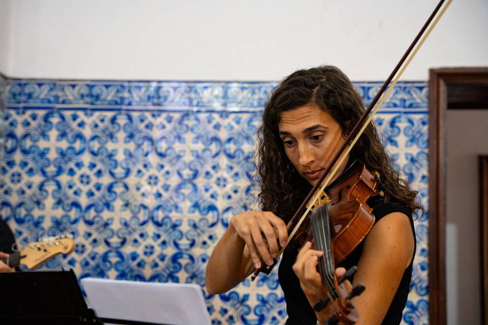 Violinista