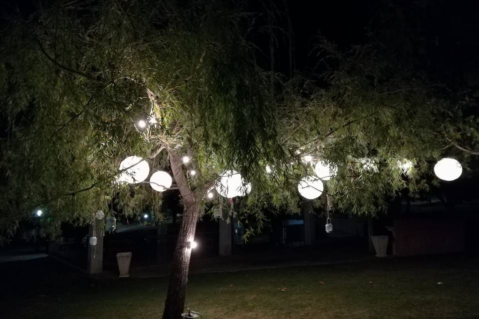 Iluminação de árvores