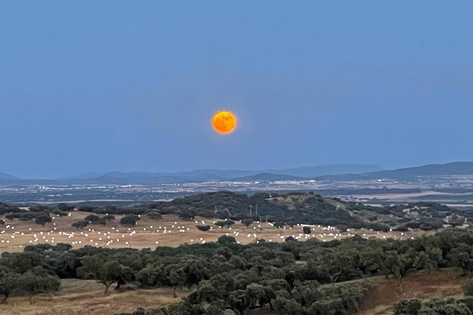 Luar de verão