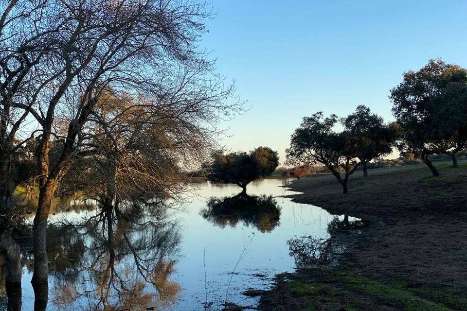 Barragem