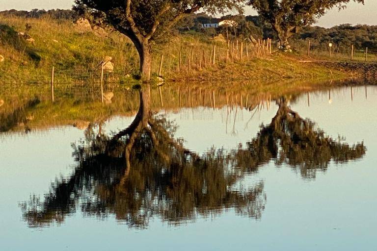 Barragem