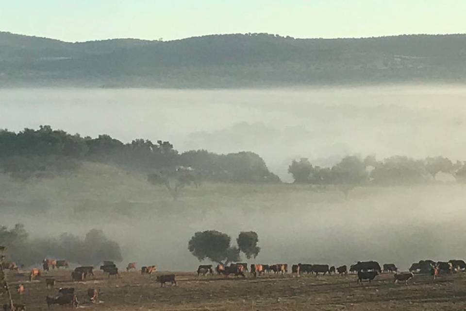 Paisagem de outuno