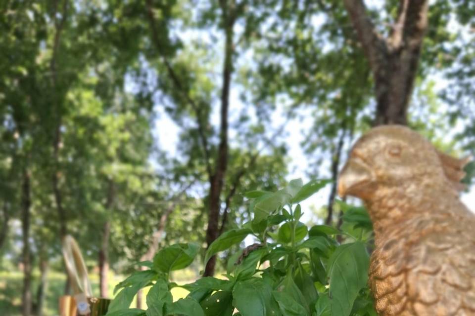 Detalhes