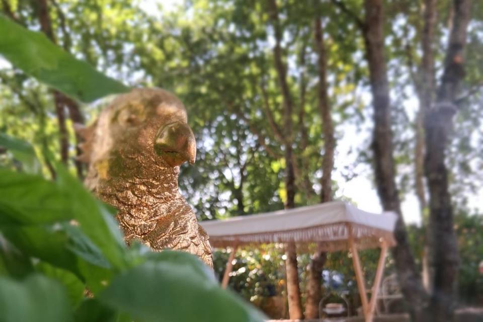 Detalhes