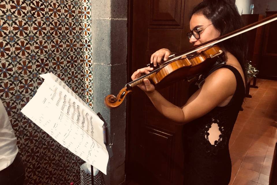 Violino Acústico - Joana Q.