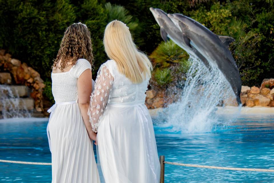 Casamento Zoomarine