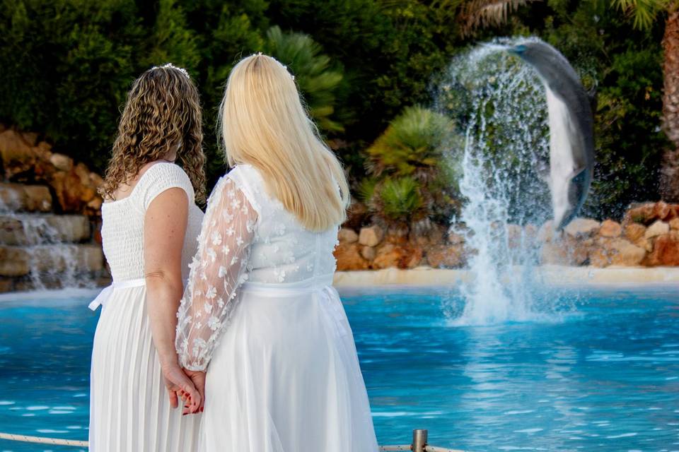 Casamento Zoomarine