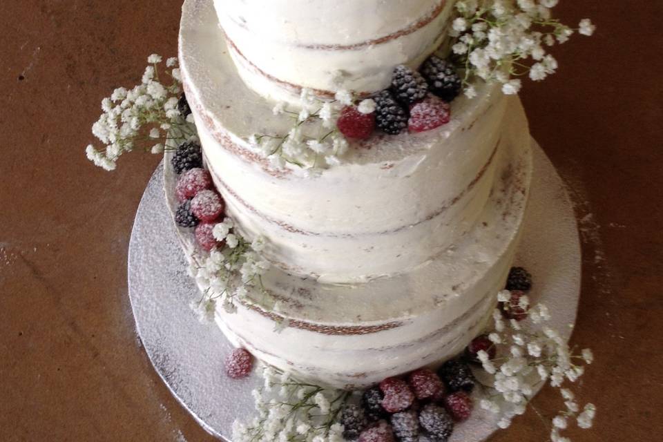 Semi naked cake