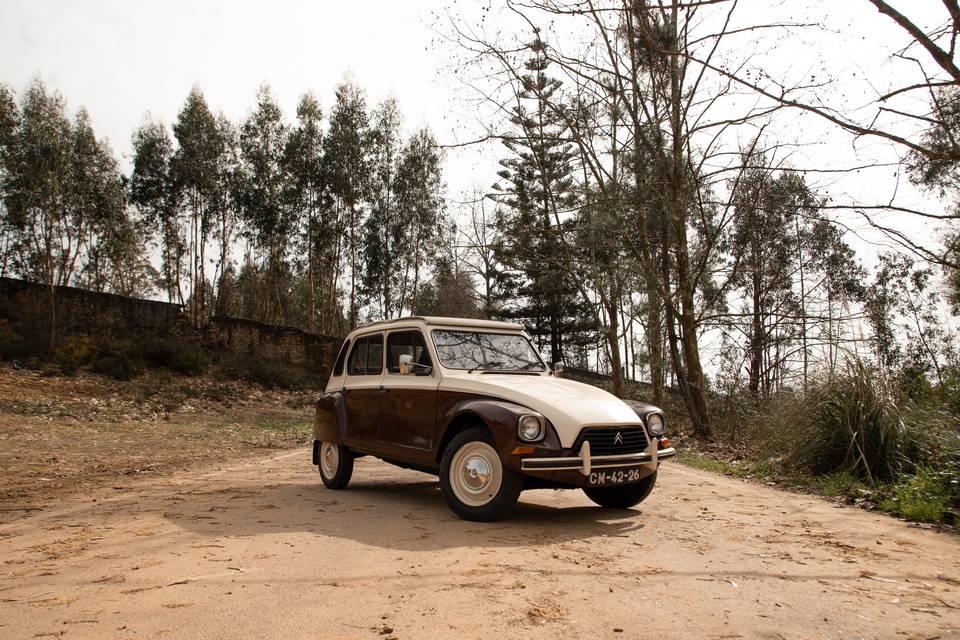 Citroen Dyane