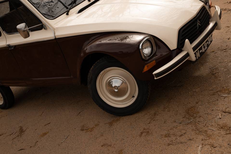 Citroen Dyane