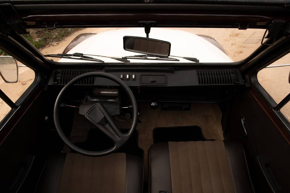 Citroen Dyane
