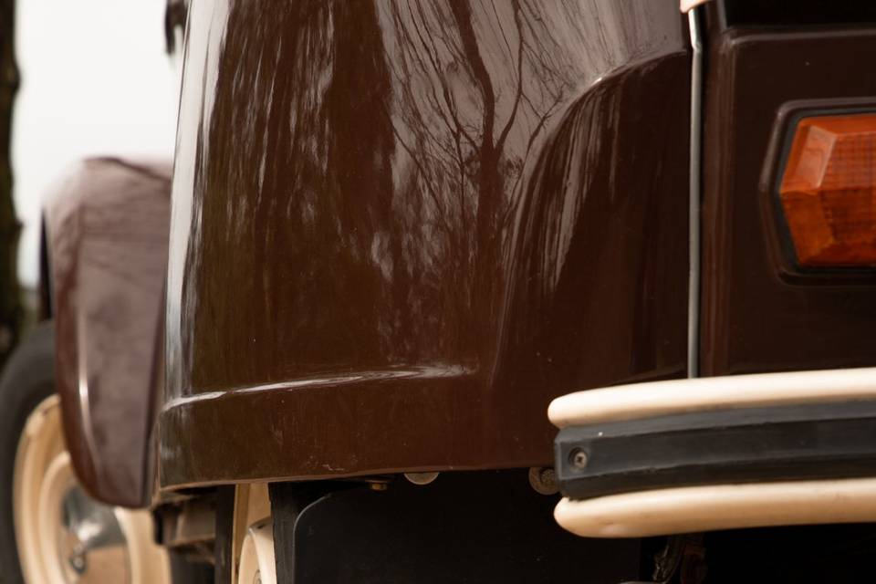 Citroen Dyane