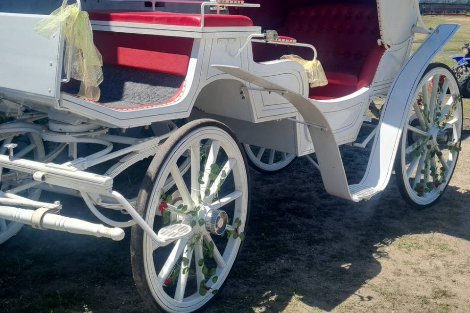 Charrete casamento