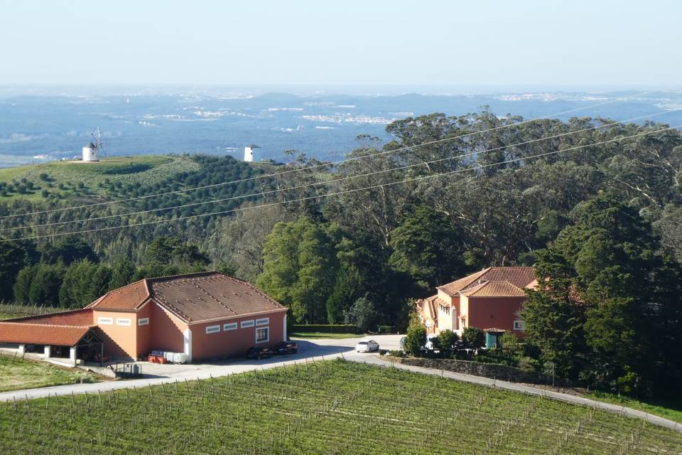 Vineyard Venues