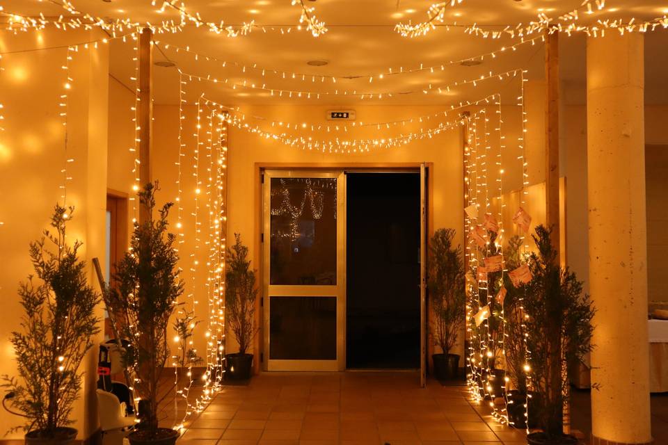 Fairy lights