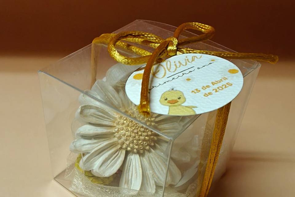 Margarida gesso perfumado