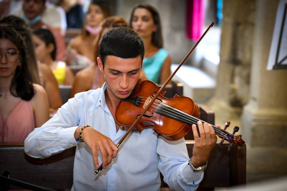 Violino