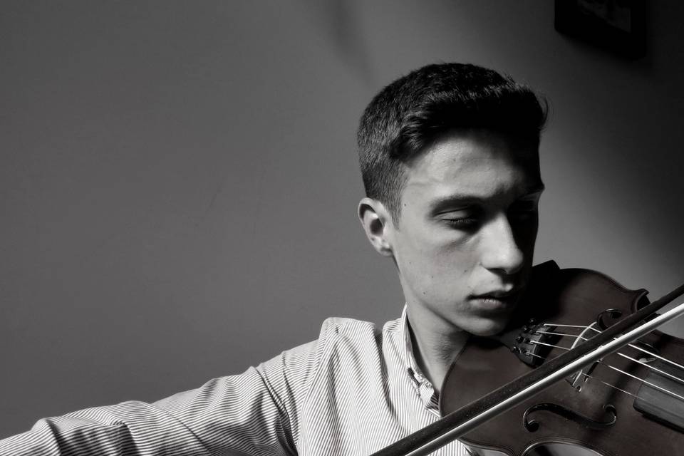 Violino