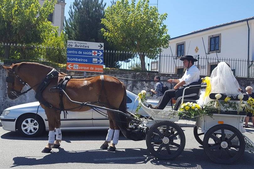 Charrete para casamento