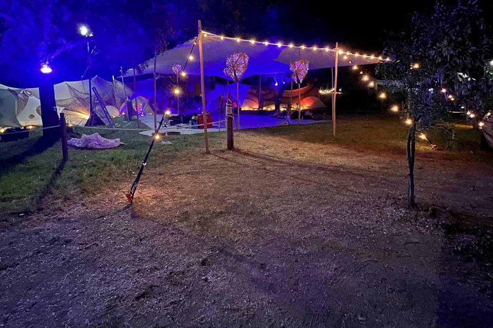 Festival