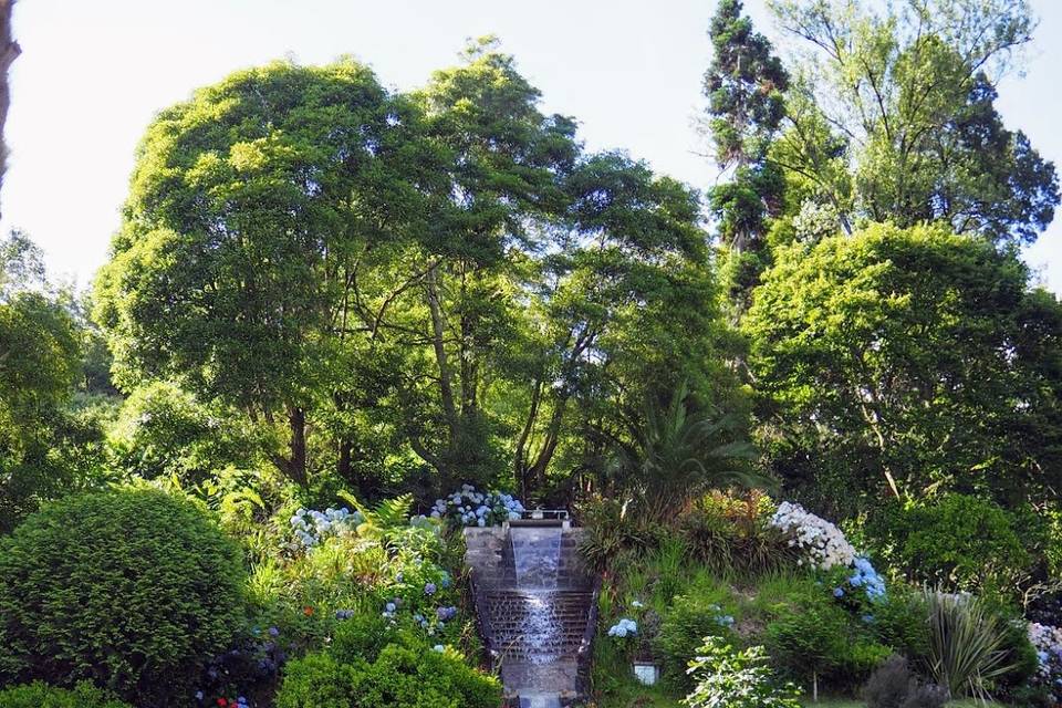 Quinta da Madeira Velha