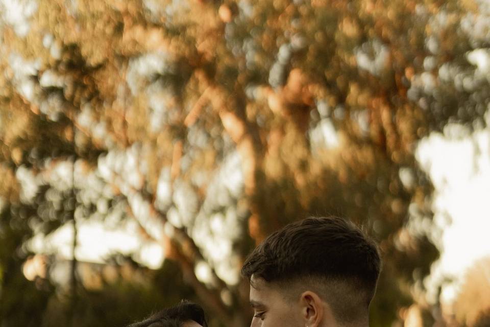 M&H engagement