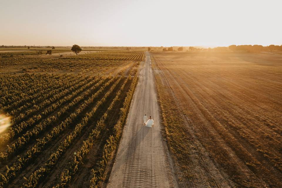 Wedding Day