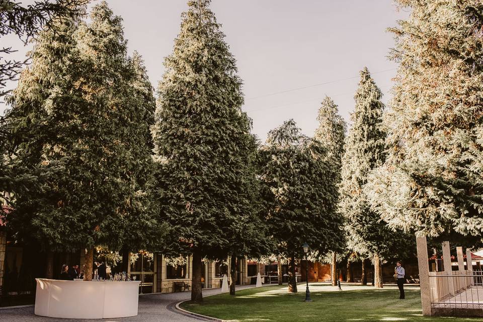 Jardim de aperitivos