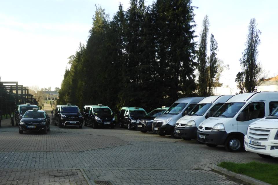 Frota com taxis