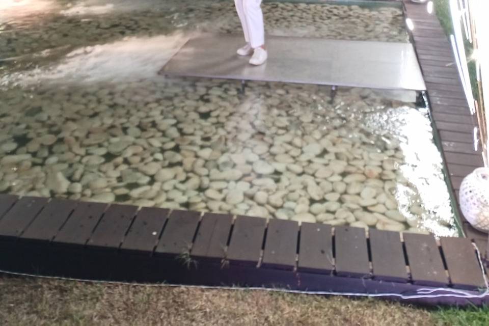 Violinista