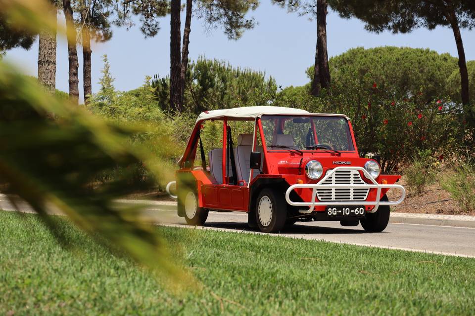 Mini-Moke 1989