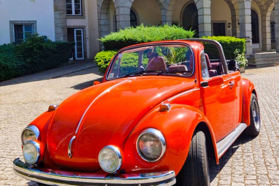 Serviço personalizado