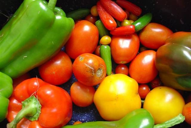 Legumes