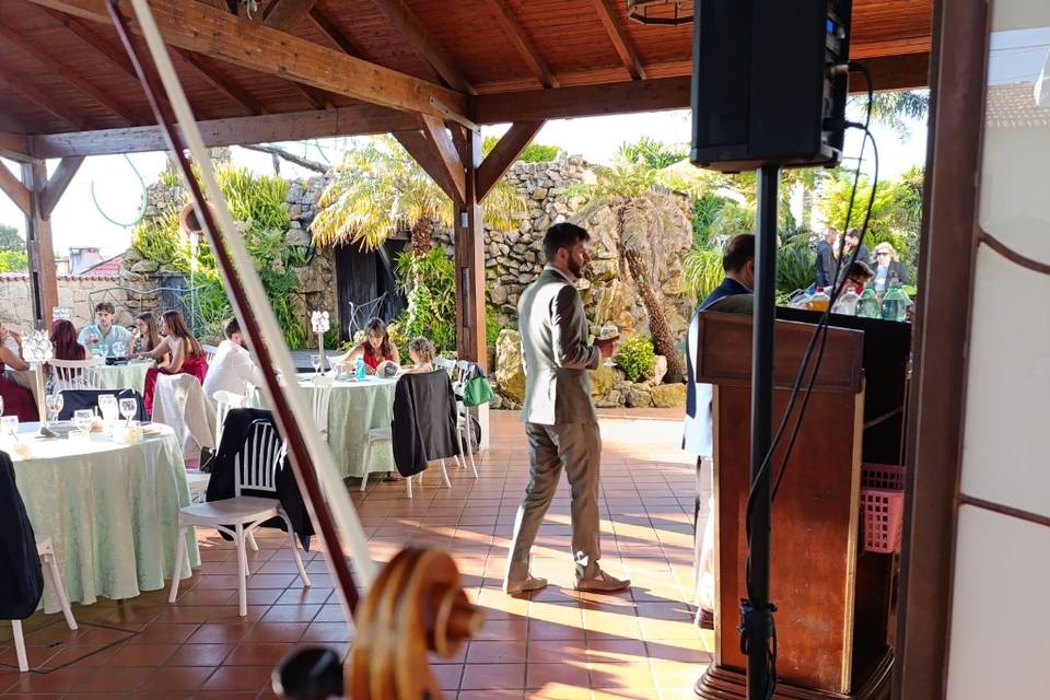 Aperitivos Violino Solo