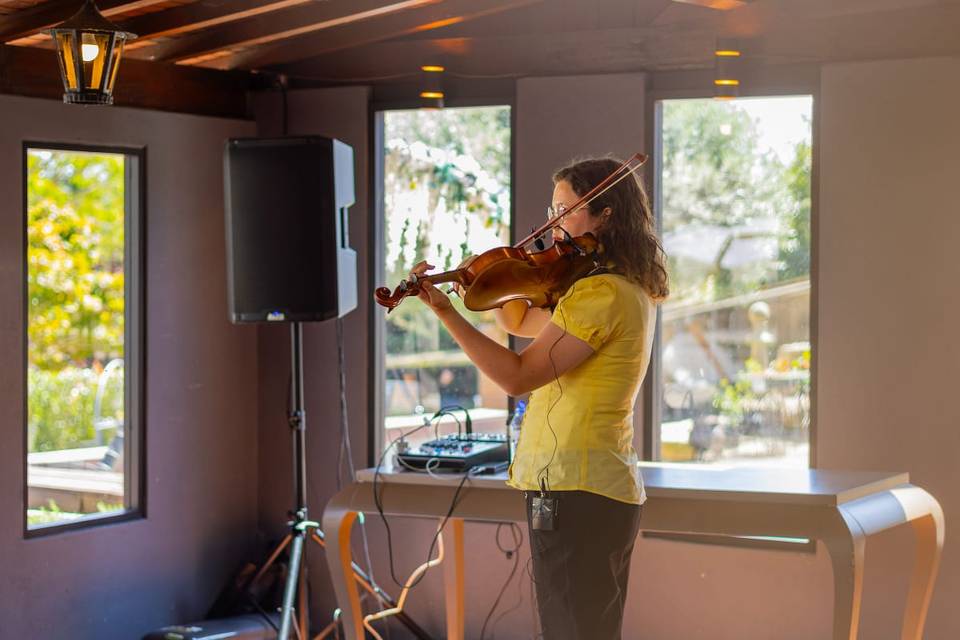 Aperitivos Marta - Violinista