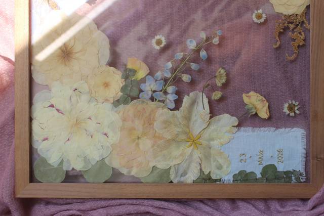 Detalhe flores prensadas