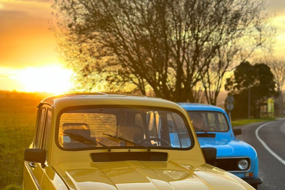 Renault 4L amarela e azul