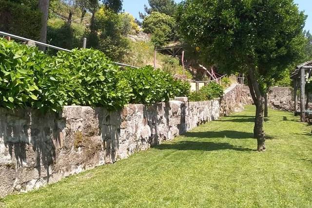 Jardim